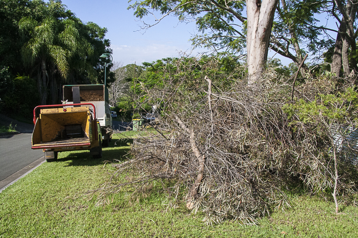 Tree Lopping in Brisbane