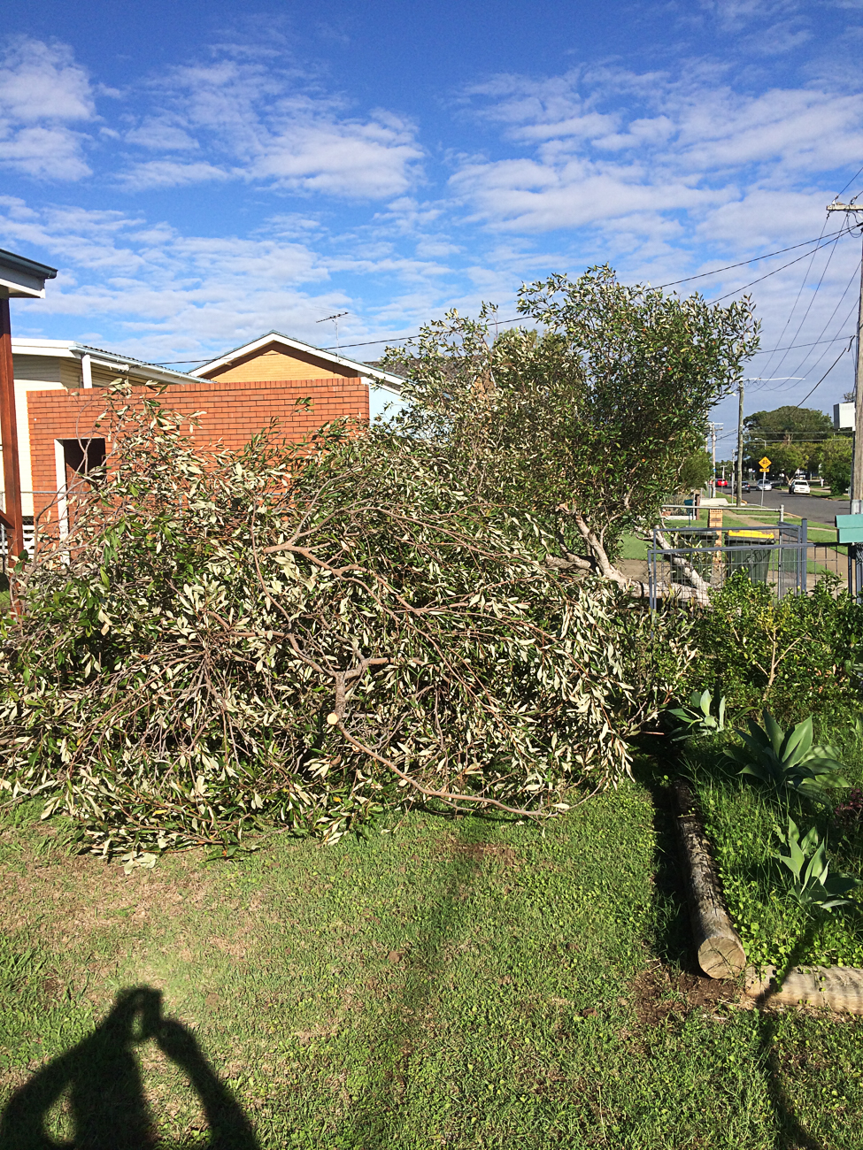 Samford Tree Lopping - Brisbane Mulching Service