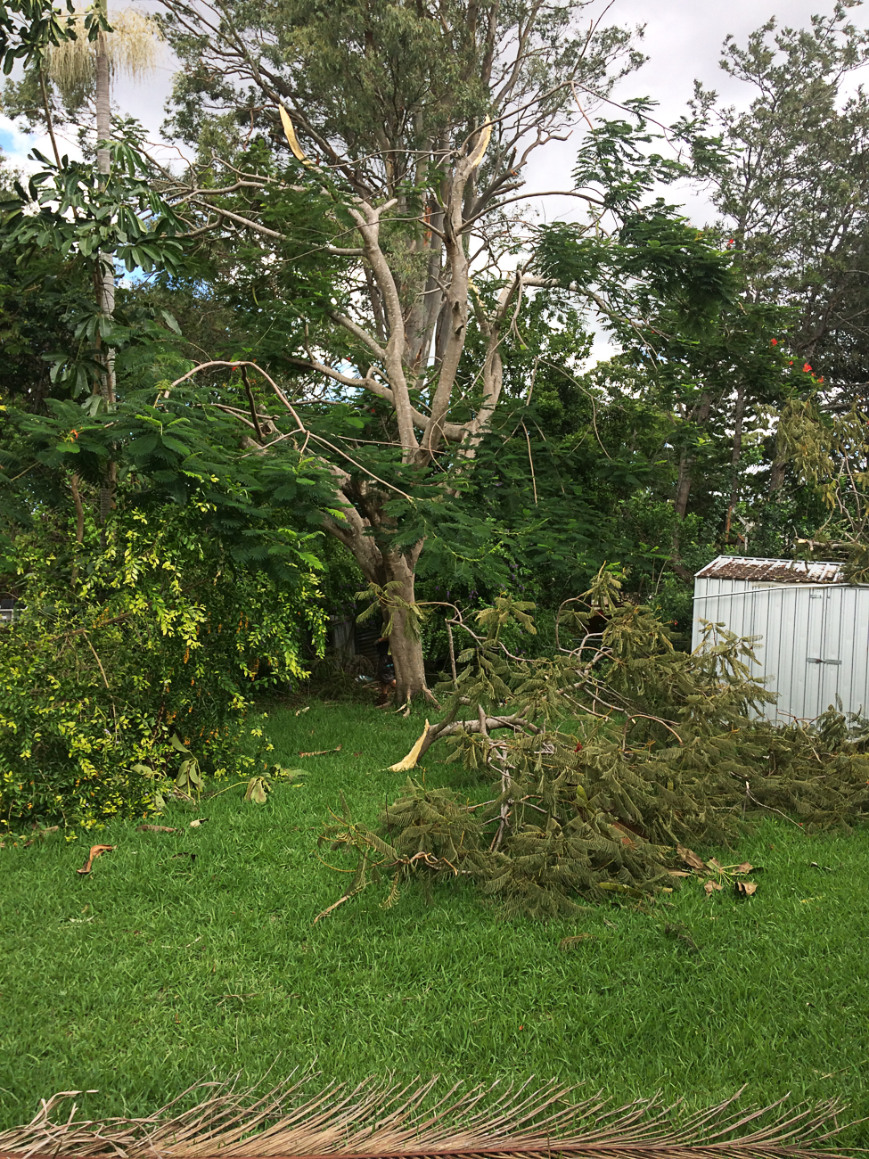 Storm Damage 