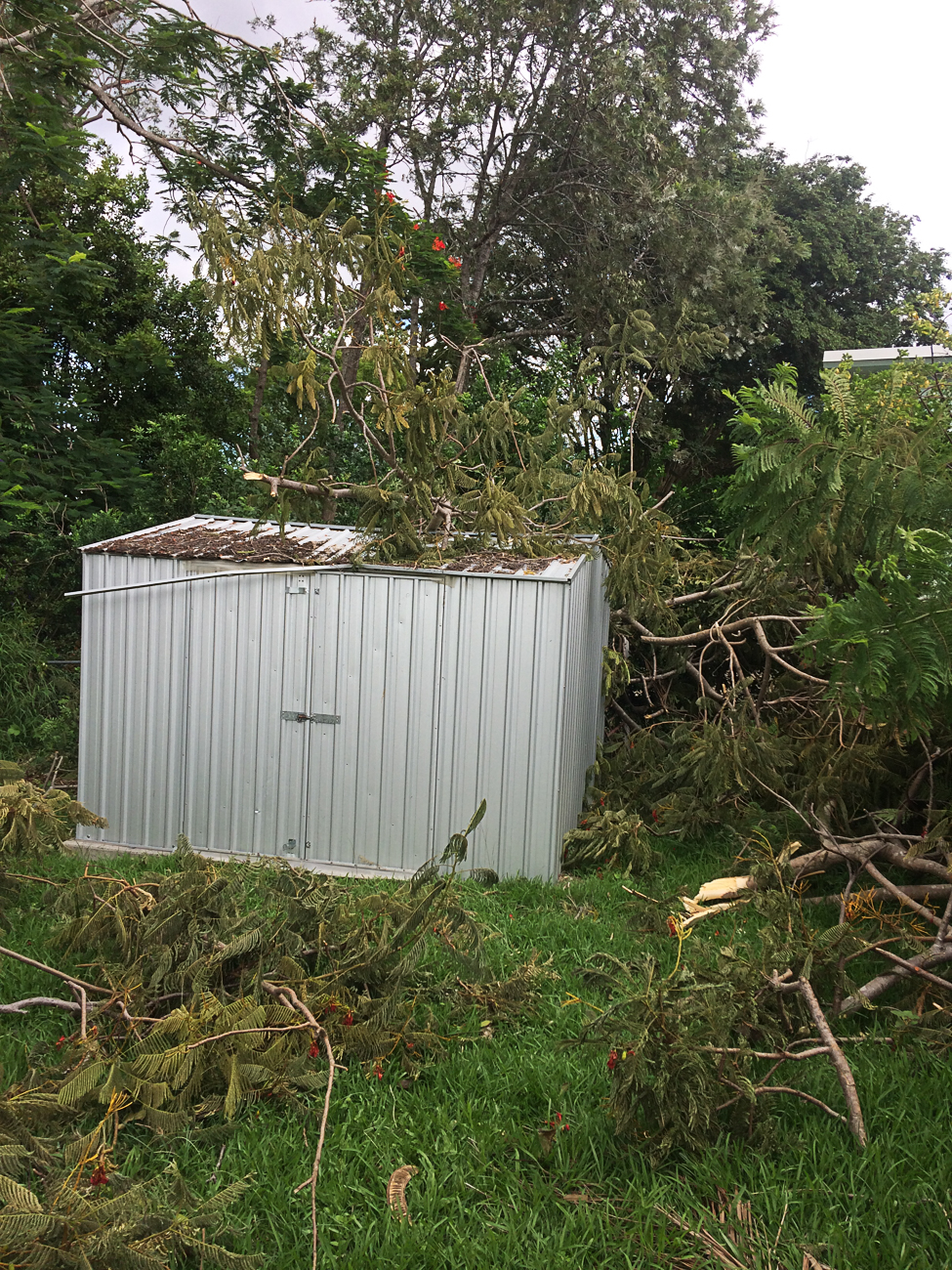 Storm Damage 