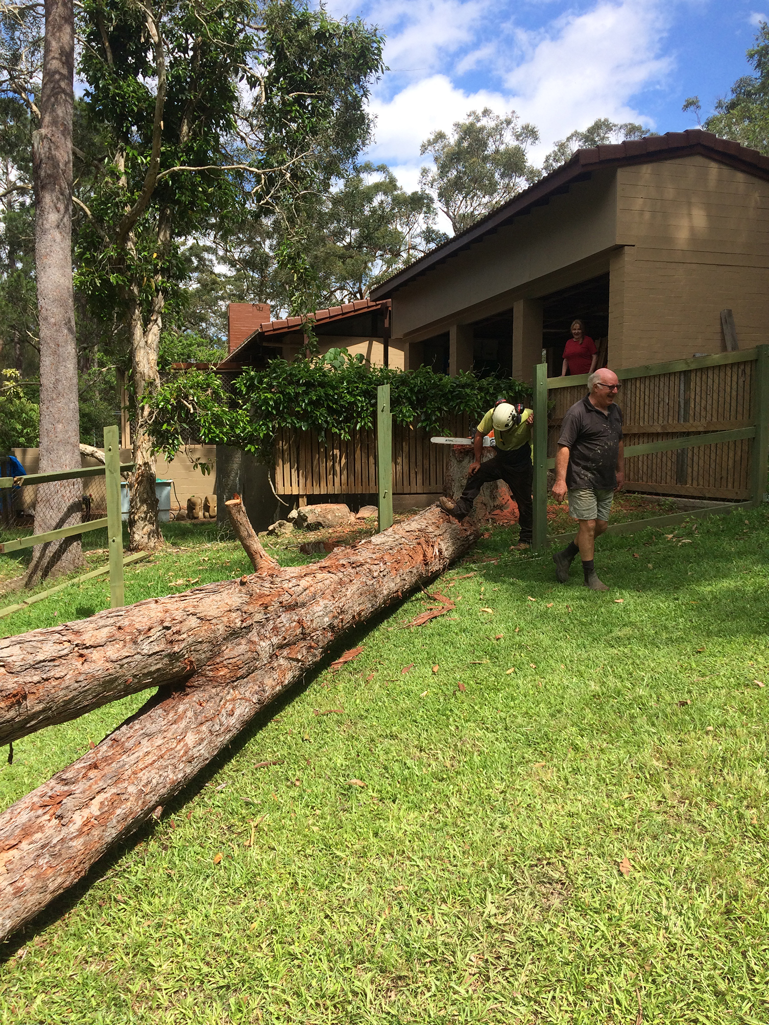 Eatons Hill tree lopping