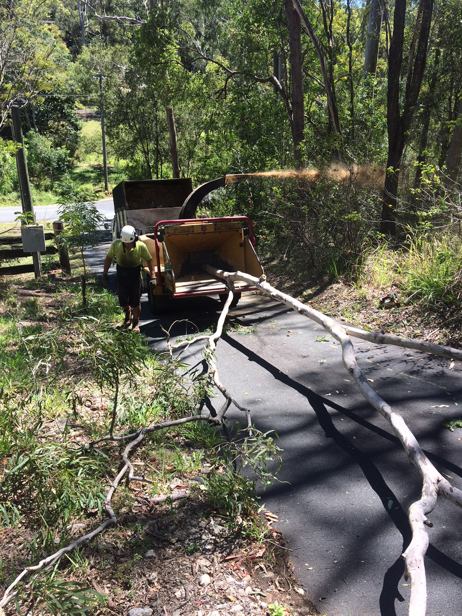 North Brisbane tree lopping