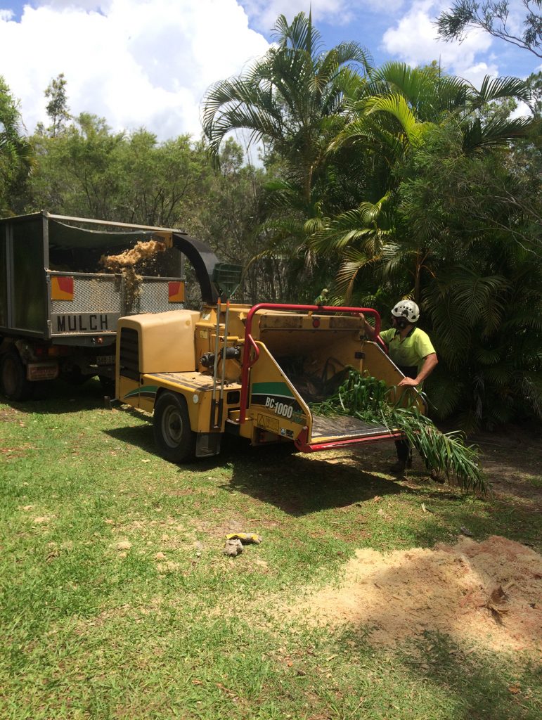 tree lopping Brisbane