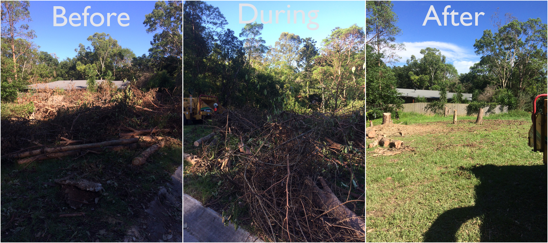 Tree Lopping Brisbane North