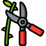 garden clean ups Brisbane